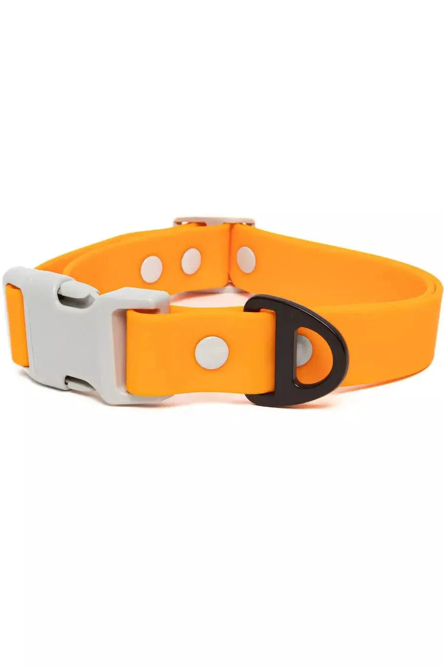 Crimson Glow Waterproof Dog Collar - Tampa Home & Garden Store