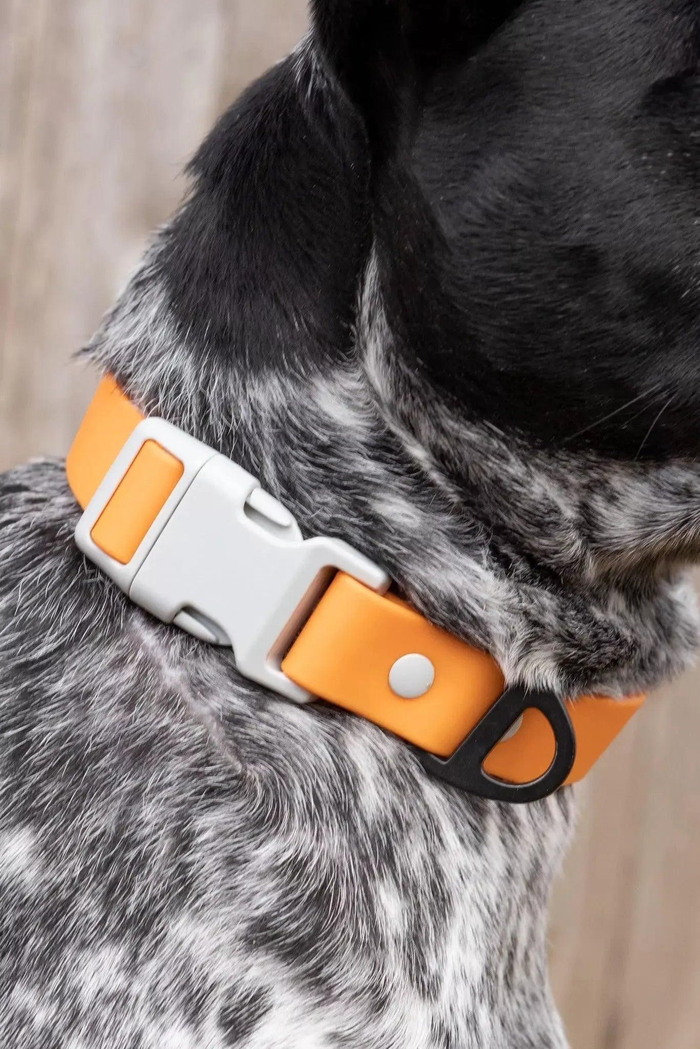 Crimson Glow Waterproof Dog Collar - Tampa Home & Garden Store