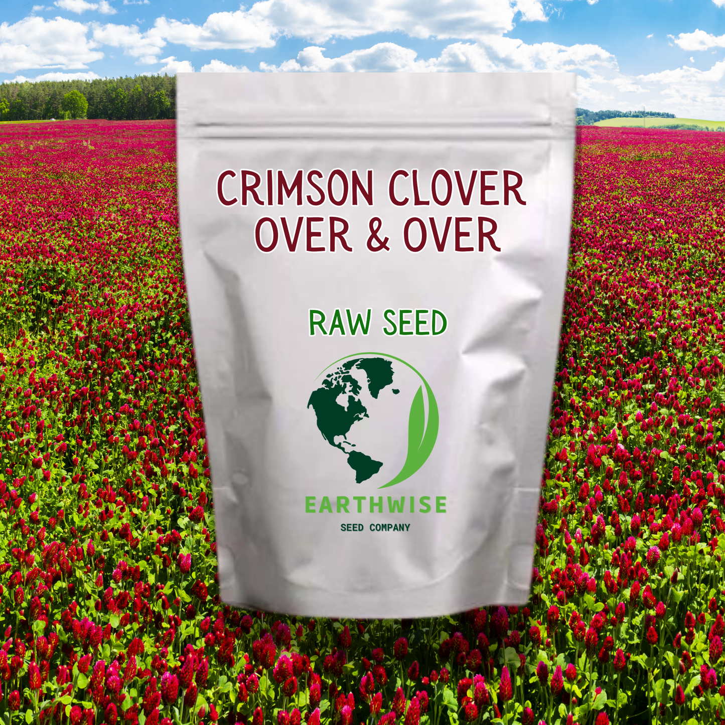 Crimson Clover, Over & Over (Trifolium Incarnatum) Seed