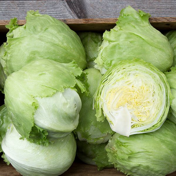 Crispino lettuce heads in a wooden crate; green iceberg with pale centers on Tampa Home & Garden Store