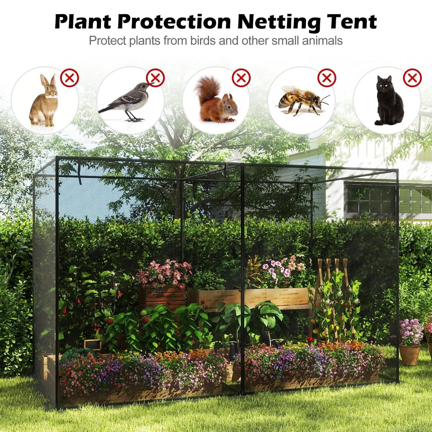 Crop Cage with 6 Ground Nails for Garden Plants