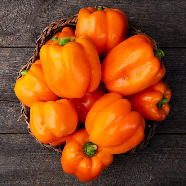 Cubo Orange Sweet Pepper basket of fresh orange bell peppers on dark wooden surface on Tampa Home & Garden Store