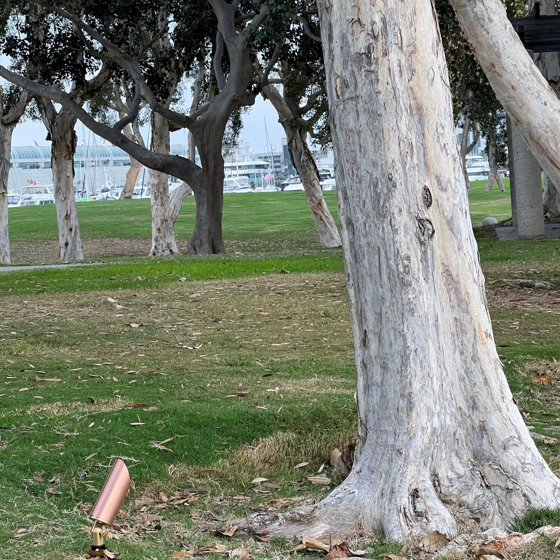 Cuprum Copper Spotlight Low Voltage Outdoor Lighting - Tampa Home & Garden Store