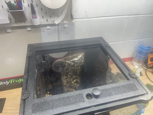 Custom Replacement Top for 12" Exo Terra Terrariums – Humidity Retaining with Fly-Proof Ventilation - Tampa Home & Garden Store