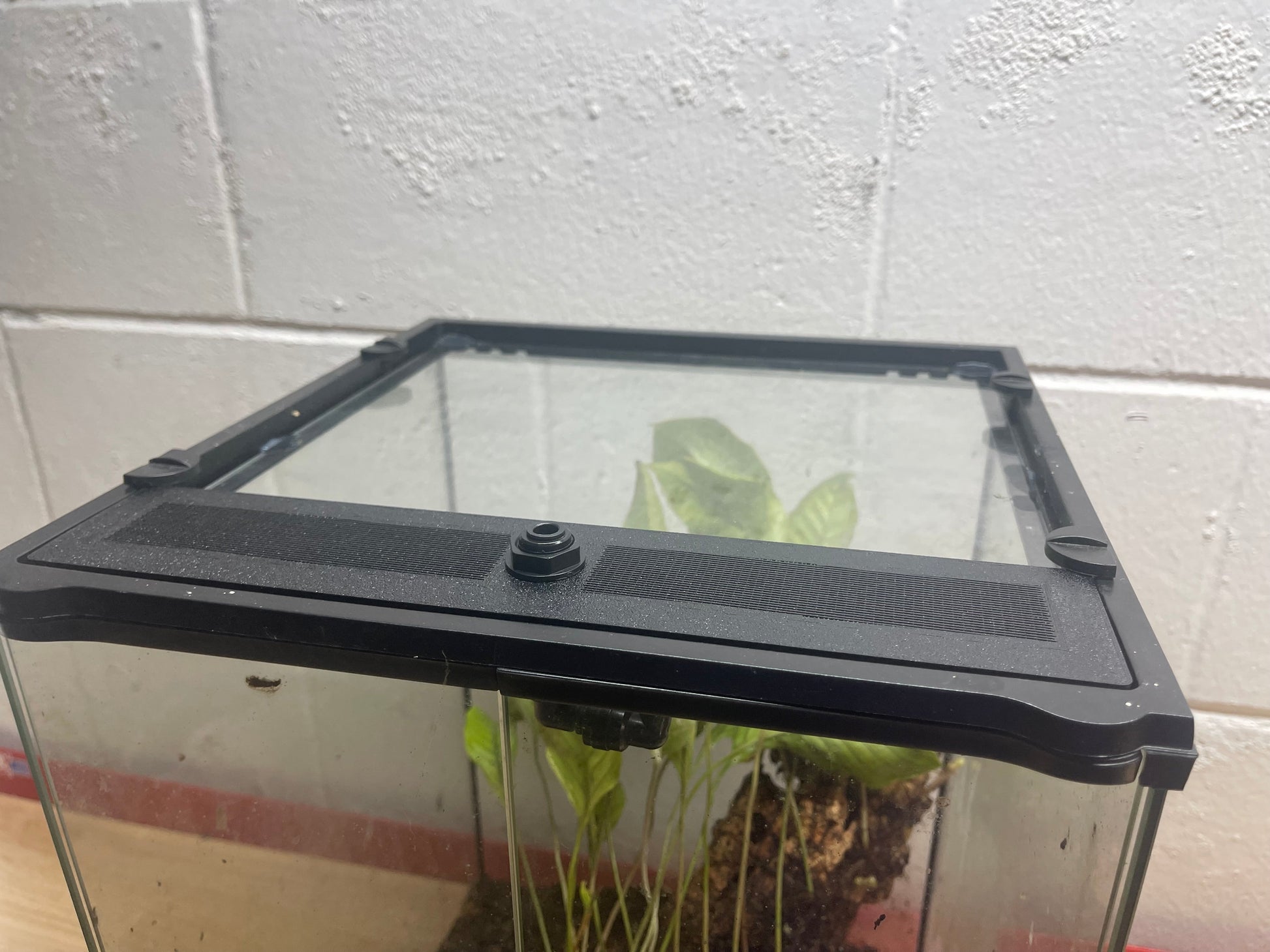 Custom Replacement Top for 24" Exo Terra Terrariums – Humidity Retaining with Fly-Proof Ventilation - Tampa Home & Garden Store