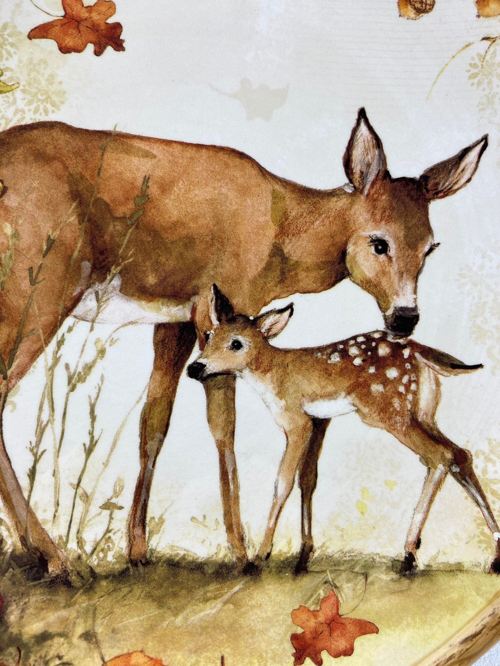 Cute Deer Mom and Baby Dinner or Serving Plate. Whimsical Plate. Kid at Heart or Grandparents' Gift for Grandkids. Fall Celebration. - Tampa Home & Garden Store