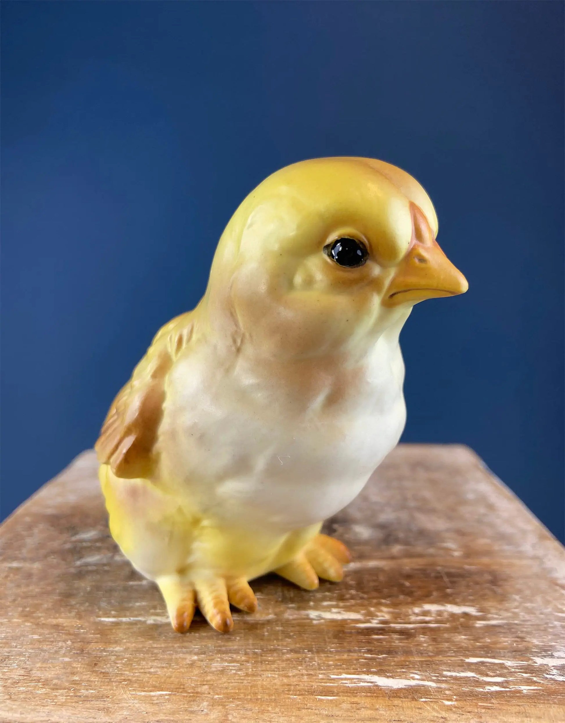 Cute plump yellow baby chick figurine ceramic decor with orange beak on a wood surface on Tampa Home & Garden Store