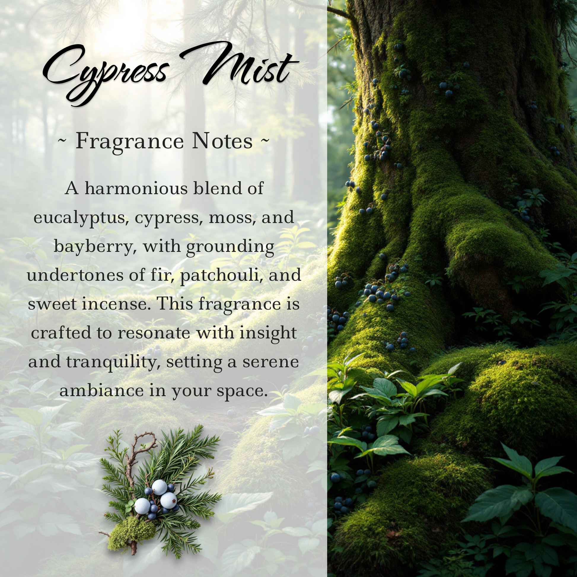 Cypress Mist, Premium Coconut-Soy Wax Tea Light Crystal Candle, 1oz - Tampa Home & Garden Store