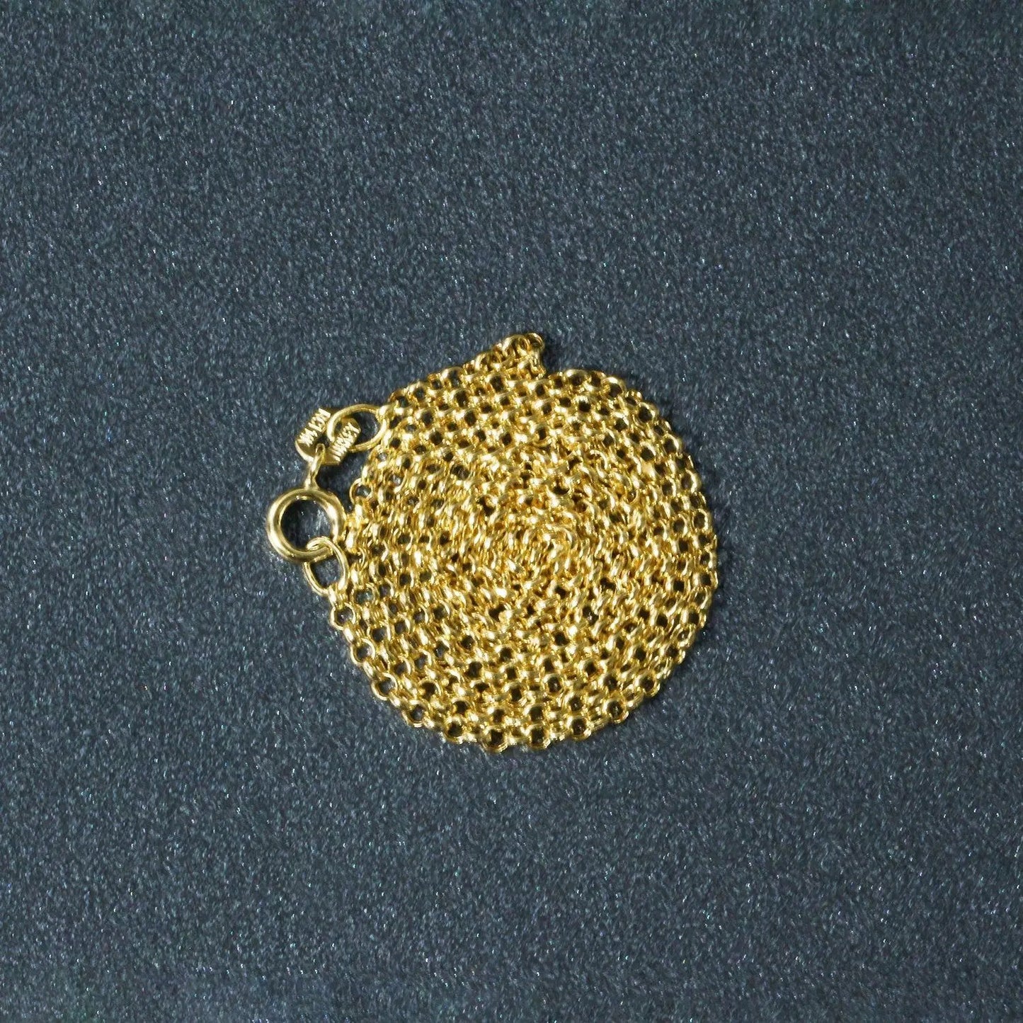 14k yellow gold rolo chain necklace 1.9mm with clasp, Bids.com tag visible on Tampa Home & Garden Store