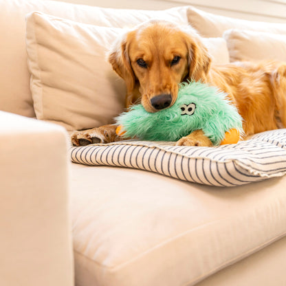 Rowdies Plush Dog Toy With Chew Tough Paws