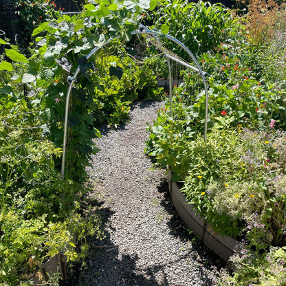 DIY Garden Arch - Tampa Home & Garden Store