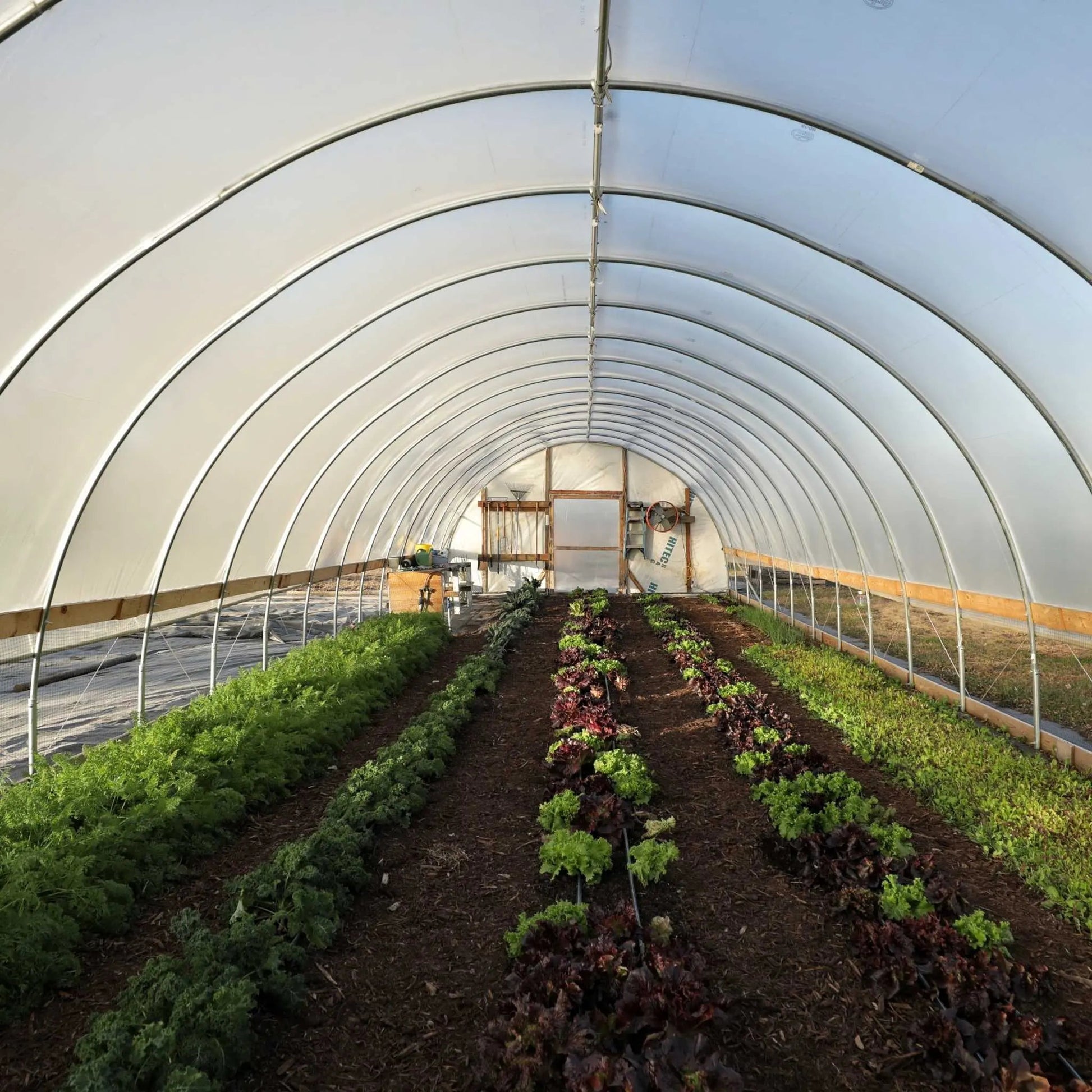 DIY Greenhouse Kit - 10 ft Wide Hoop House - Tampa Home & Garden Store