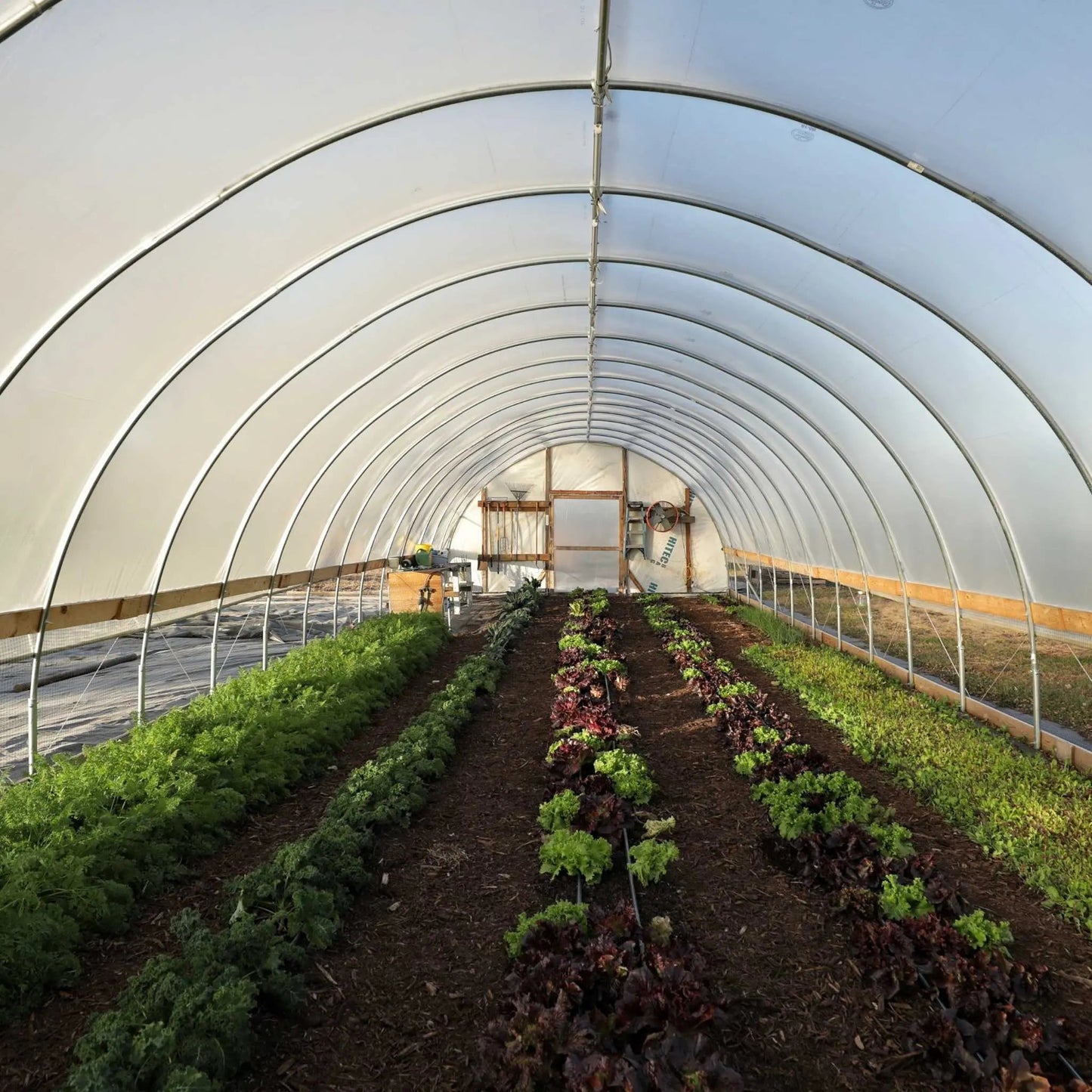 DIY Greenhouse Kit - 16 ft Wide Hoop House - Tampa Home & Garden Store