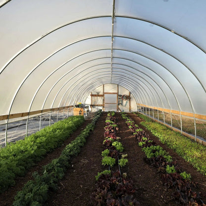 DIY Greenhouse Kit - 20 ft Wide Hoop House - Tampa Home & Garden Store
