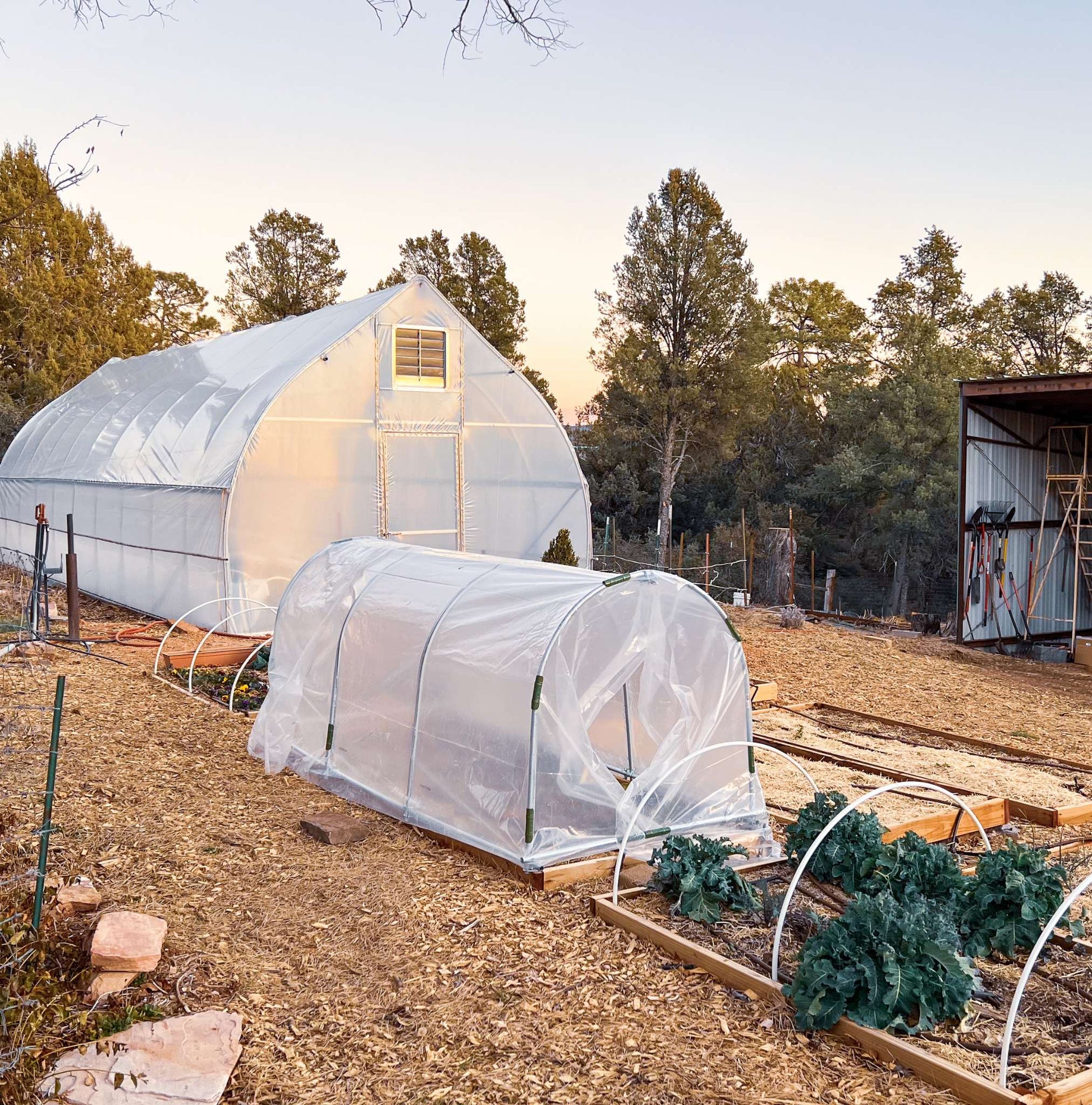 DIY Portable Low Tunnel Kit - Tampa Home & Garden Store