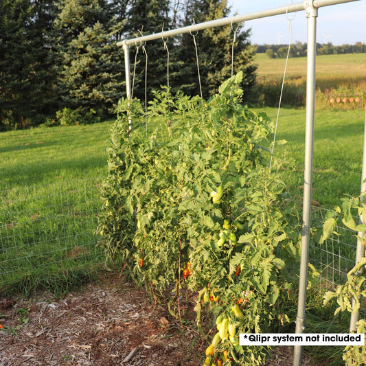 Enrejado para tomates DIY | 1 3/8" de alta resistencia