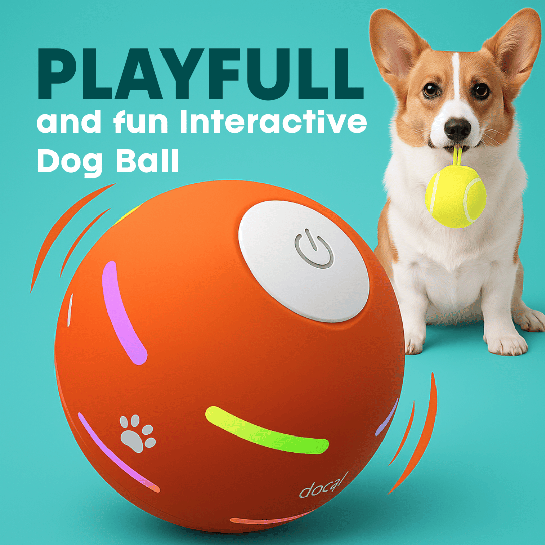DOG’S INTERACTIVE BALL - Tampa Home & Garden Store
