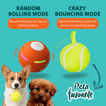 DOG’S INTERACTIVE BALL - Tampa Home & Garden Store