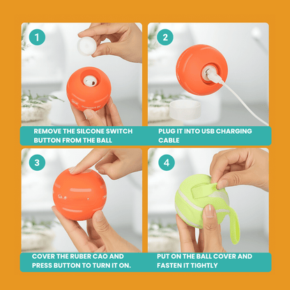 DOG’S INTERACTIVE BALL - Tampa Home & Garden Store