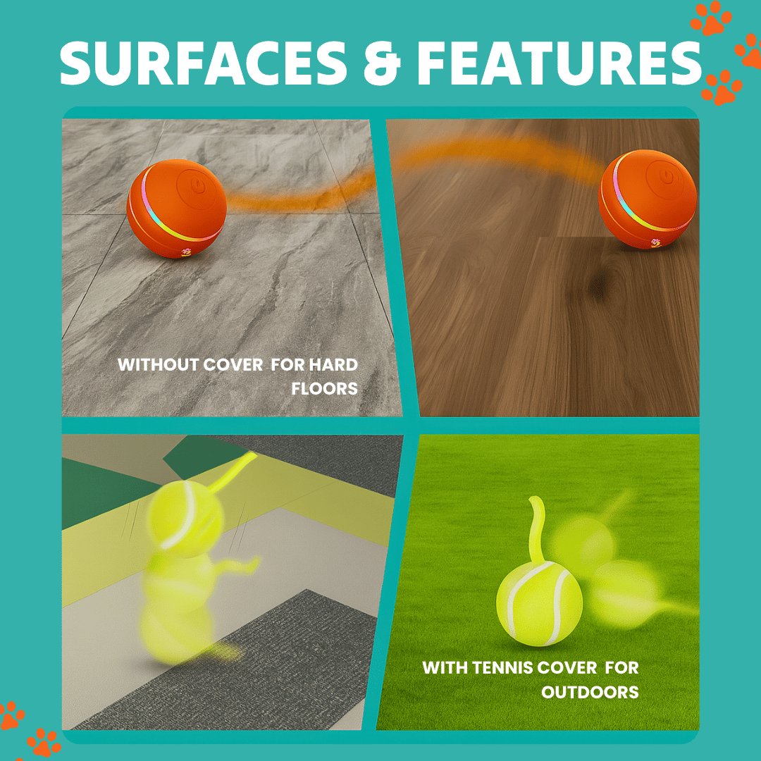 DOG’S INTERACTIVE BALL - Tampa Home & Garden Store