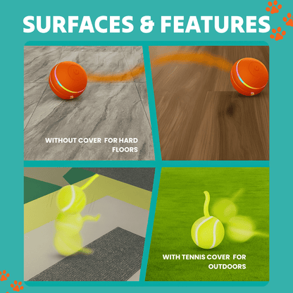 DOG’S INTERACTIVE BALL - Tampa Home & Garden Store