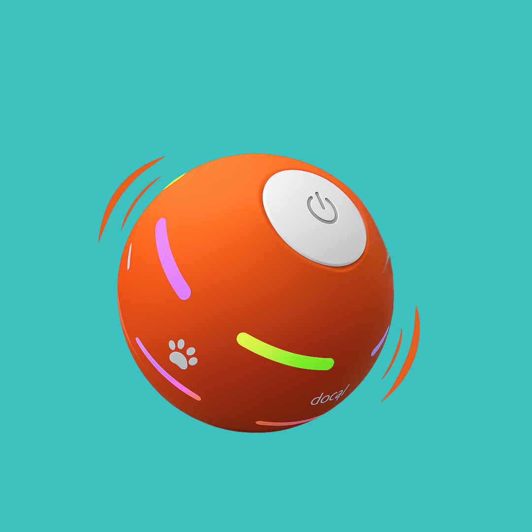 DOG’S INTERACTIVE BALL - Tampa Home & Garden Store