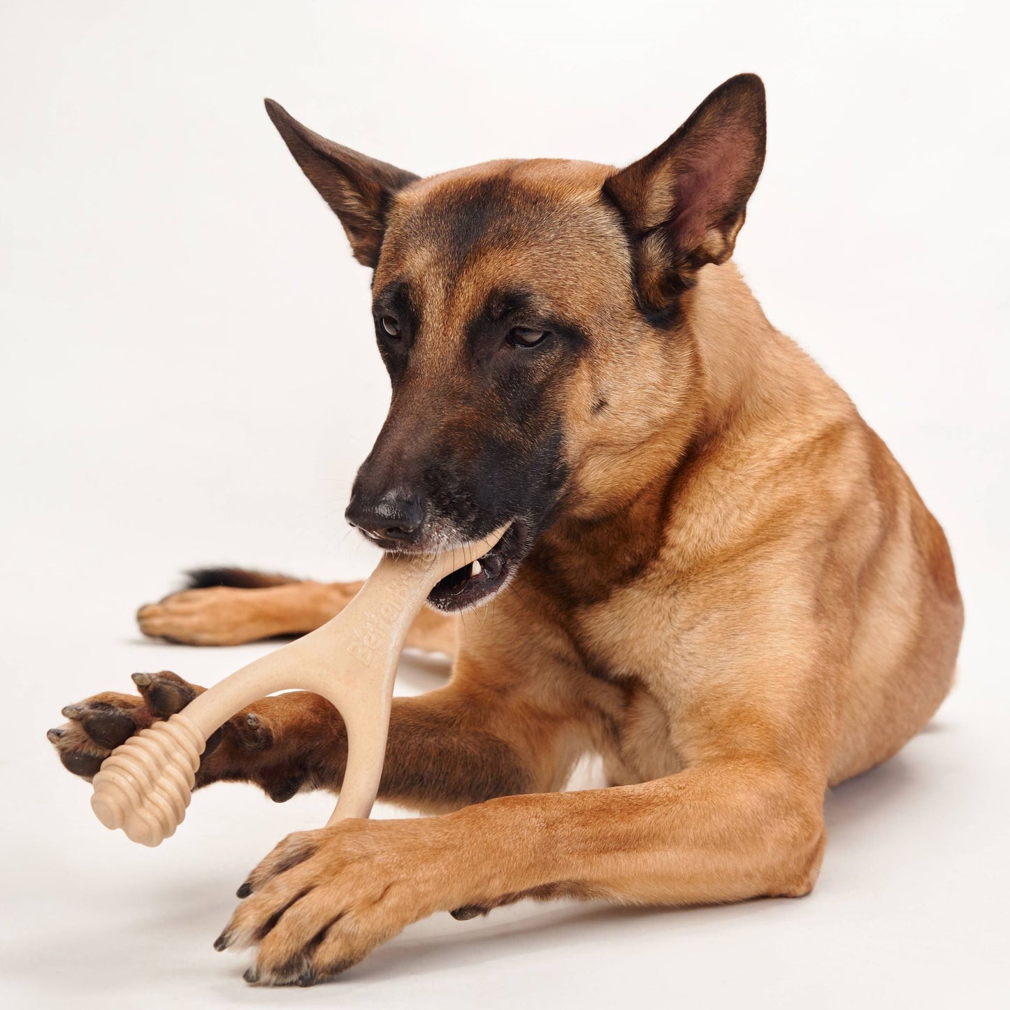 Juguete masticable BetterBone de durabilidad media: Ideal para masticadores cotidianos | Ingredientes naturales, ecológico, no tóxico
