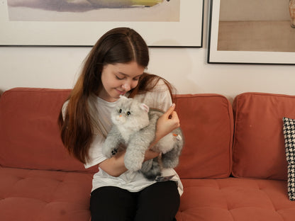 Soft and Lying Silver British Shorthair Plush
