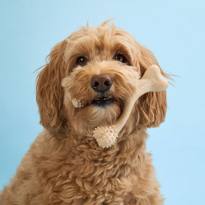 Jouet à mâcher BetterBone SOFT Durability : Ingrédients naturels, idéal pour les chiots qui font leurs dents, les chiens âgés et les chiens à la mâchoire douce.