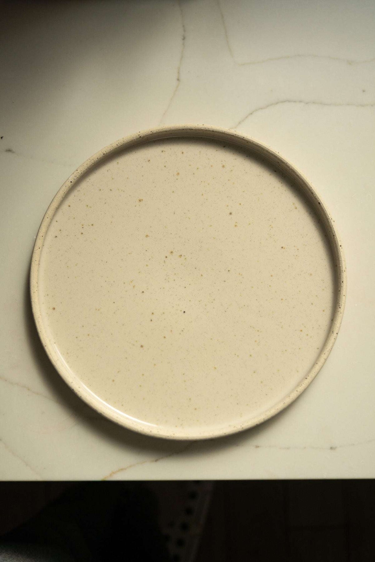 Handmade stoneware plate with white speckled glaze, round ceramic dish on Tampa Home & Garden Store