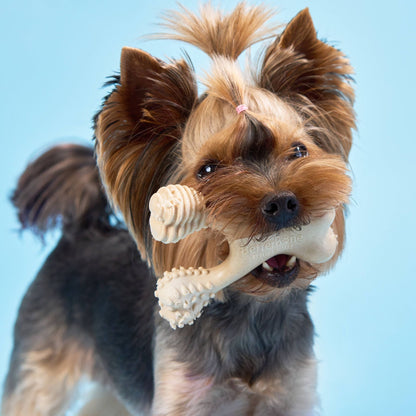 Jouet à mâcher BetterBone SOFT Durability : Ingrédients naturels, idéal pour les chiots qui font leurs dents, les chiens âgés et les chiens à la mâchoire douce.