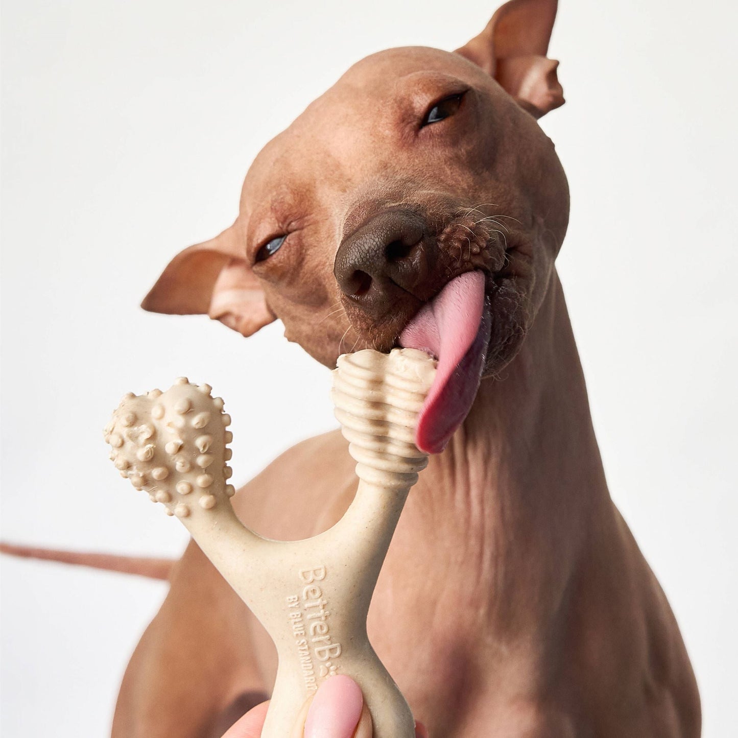 Jouet à mâcher BetterBone SOFT Durability : Ingrédients naturels, idéal pour les chiots qui font leurs dents, les chiens âgés et les chiens à la mâchoire douce.