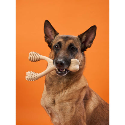 Jouet à mâcher BetterBone HARD : Ingrédients naturels, écologique et ultra-résistant pour les mâcheurs les plus acharnés !