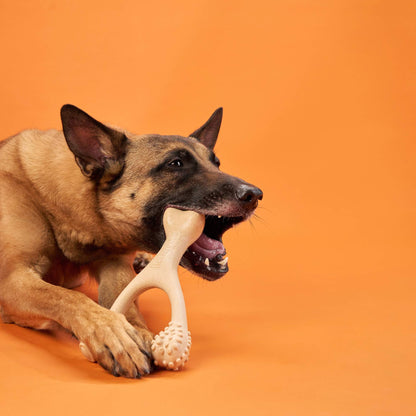 Jouet à mâcher BetterBone HARD : Ingrédients naturels, écologique et ultra-résistant pour les mâcheurs les plus acharnés !