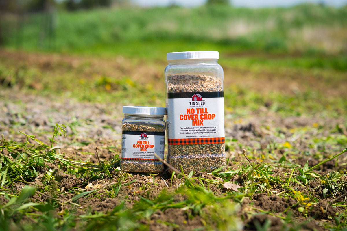 No Till Cover Crop Mix seeds by Tin Shed Seed Company in two clear jars on a field on Tampa Home & Garden Store