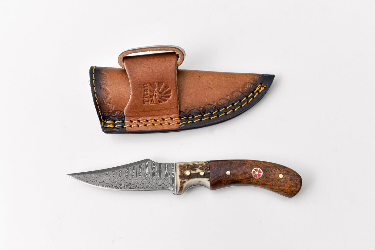 Damascus skinner knife Titan Td-340 with stag & walnut grip and patterned blade leather sheath on Tampa Home & Garden Store
