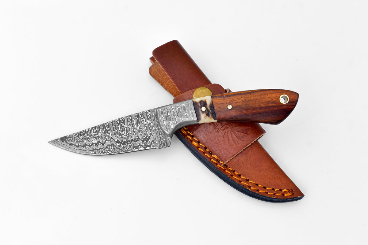 Damascus Timberline Stag Horn EDC knife with wood handle and leather sheath Titan TK-119 on Tampa Home & Garden Store