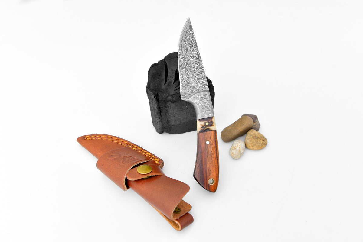 Titan TK-119 Stag Horn EDC knife with stag horn handle and Damascus blade leather sheath on Tampa Home & Garden Store