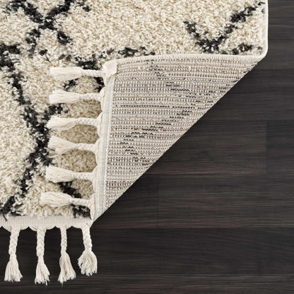 Rug Emlenton Berber Shag with Tassels in ivory and black, plush shag texture, Boutique Rugs on Tampa Home & Garden Store
