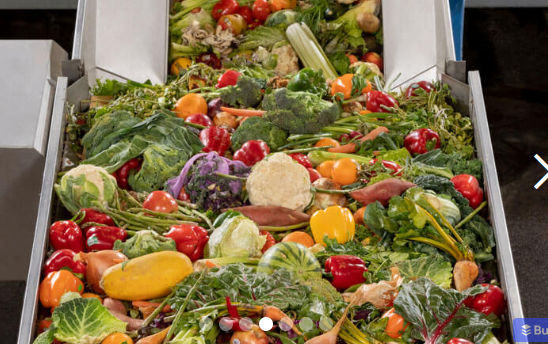 Dakota Eco Organic Fertilizer Sustainable Liquid Fertility 32oz - Tampa Home & Garden Store