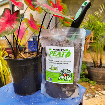 Dakota Reed Sedge Peat Moss 1lb Bag - Tampa Home & Garden Store