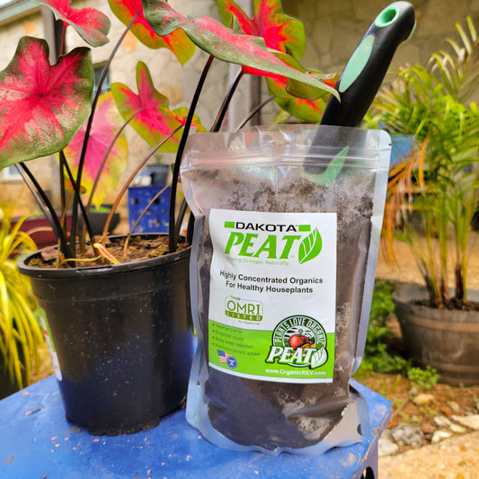 Dakota Reed Sedge Peat Moss 1lb Bag - Tampa Home & Garden Store