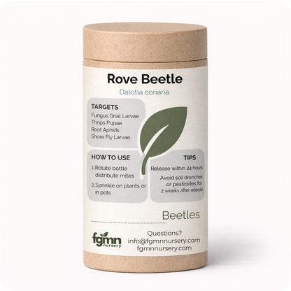 Rove Beetle for Fungus Gnat Control bottle Dalotia coriaria FGMN Nursery on Tampa Home & Garden Store