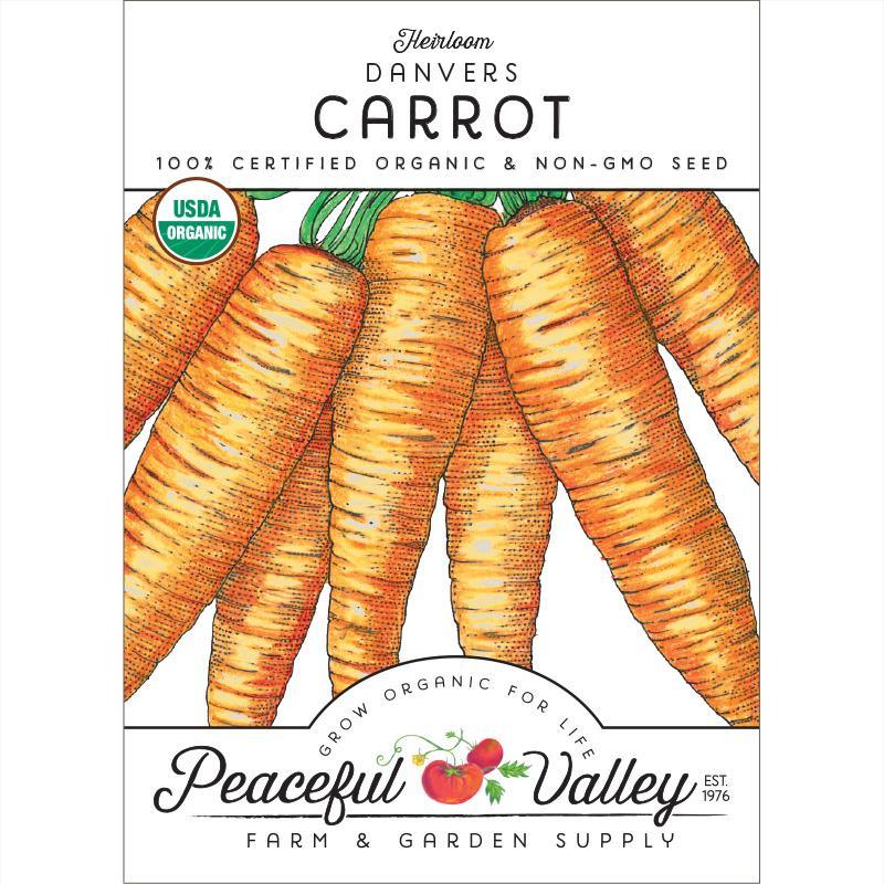 Danvers Carrot Seeds (Organic) - Tampa Home & Garden Store