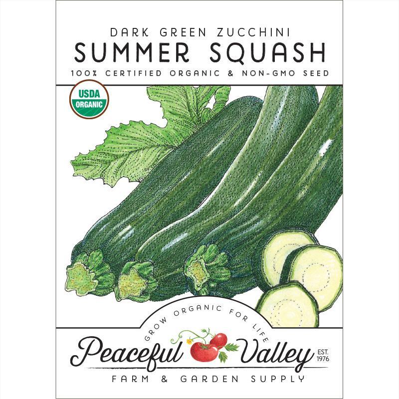 Dark Green Zucchini Summer Squash Seeds (Organic) - Tampa Home & Garden Store