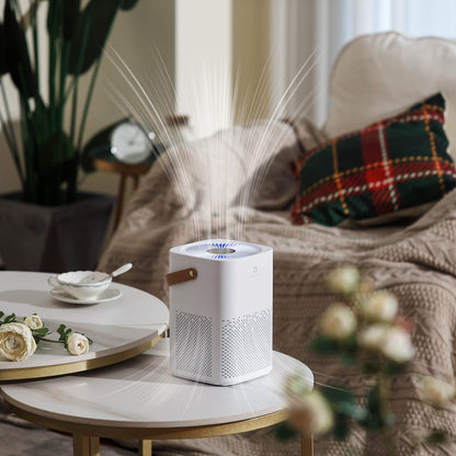 Day Dawning ADH70 Desktop Air Purifier - Tampa Home & Garden Store