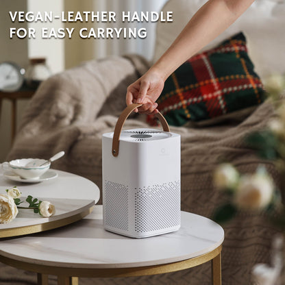 Day Dawning ADH70 Desktop Air Purifier - Tampa Home & Garden Store