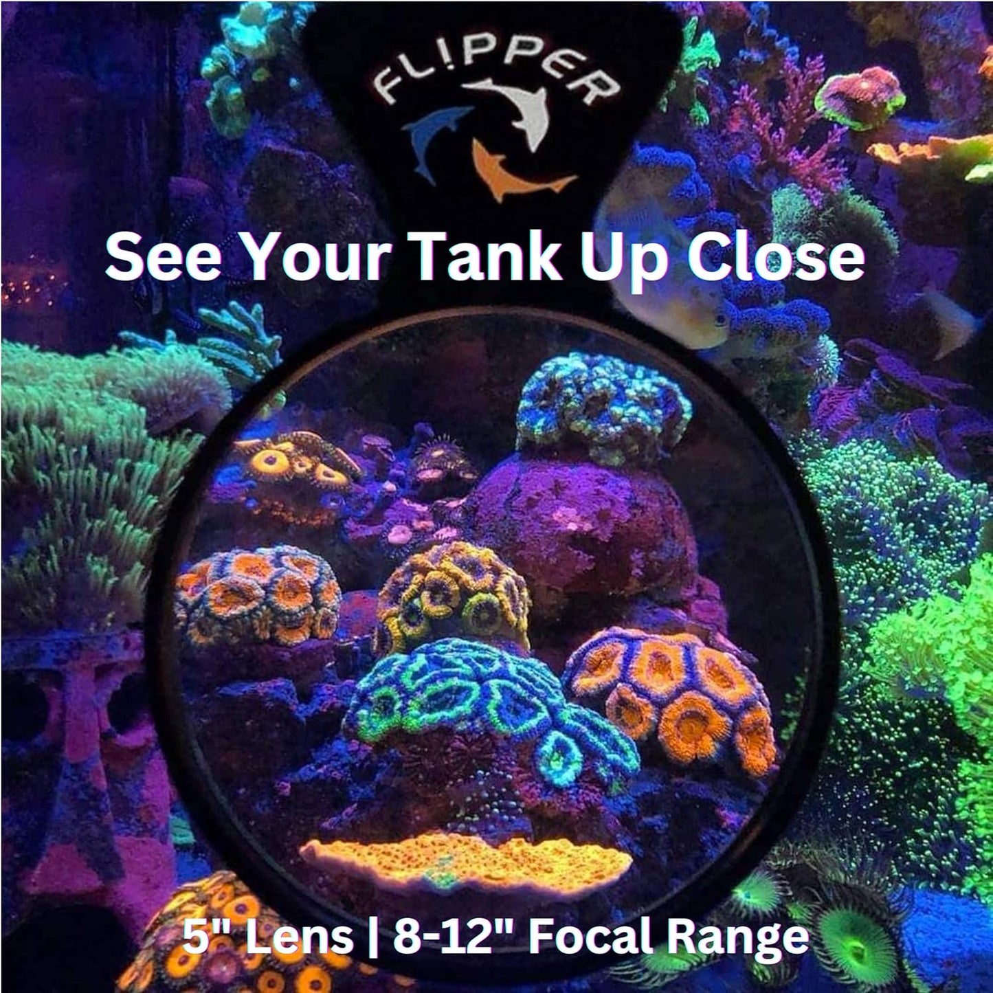 DeepSee Viewer Black Max 5 Inch Orange Filter