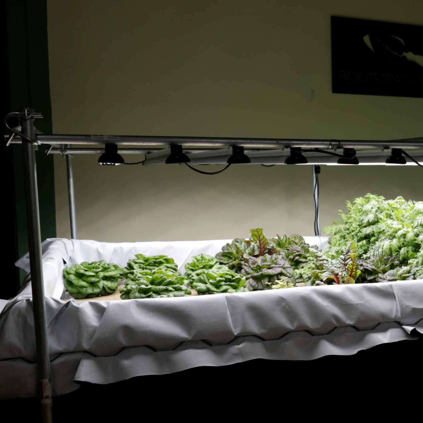 Kit de culture en eau profonde (DWC)