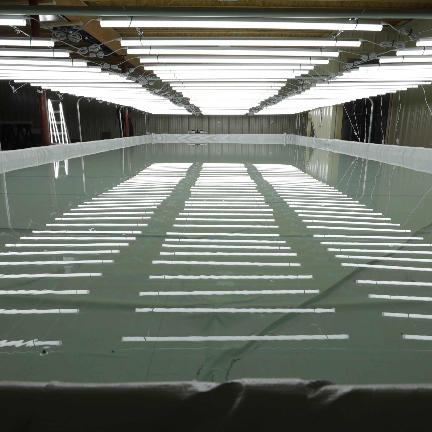 Kit de culture en eau profonde (DWC)